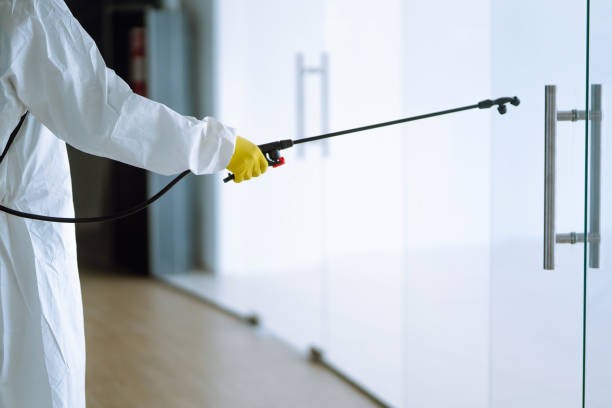 Best Professional water damage repair  in Saxon, SC
